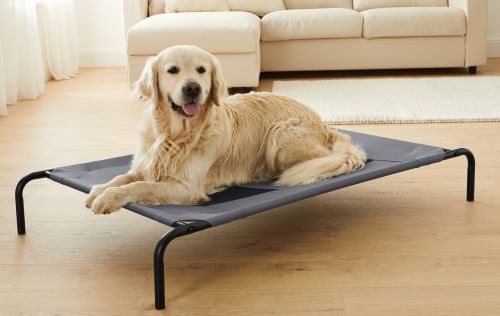 Covered dog bed lidl new arrivals