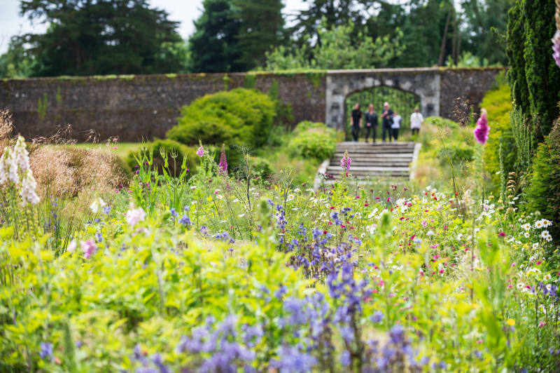 Walled garden in full bloom with wildflowers, stone steps, and an arched gateway at Johnstown Castle Gardens.