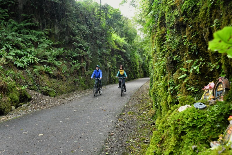 Two cyclists ride along a lush, moss-walled path on the Waterford Greenway, with fairy doors on the rock face.