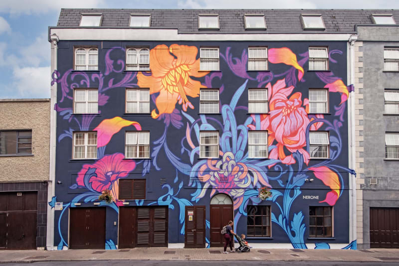 Large floral street mural by Nerone on a dark navy building facade in Waterford City, Ireland.