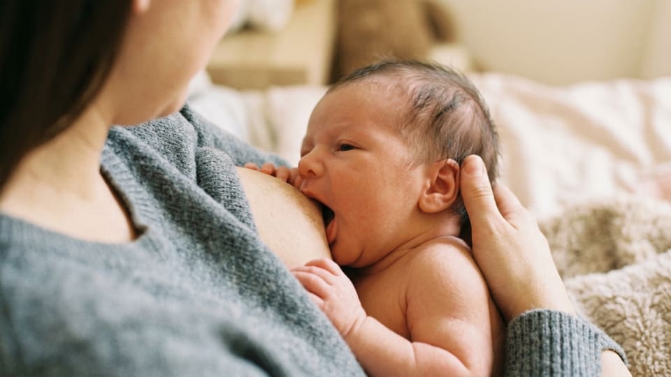Close-up of a newborn baby breastfeeding, focus on the latch, soft and warm lighting, serene and peaceful mood, realistic photography style