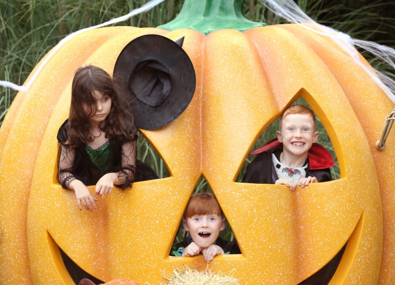 Three children in Halloween witch and vampire costumes peering through the cut-out face of a giant jack-o'-lantern prop.