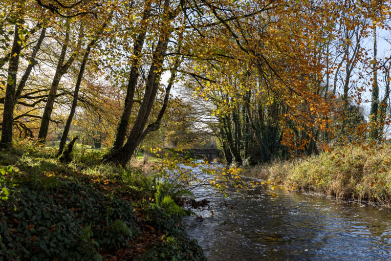 Autumn river scene with golden trees, a stone bridge in the background, and sunlit water flowing through woodland.