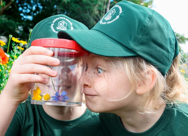 Child in green Glenveagh nature hero cap peering into a clear specimen jar containing wildflowers outdoors.